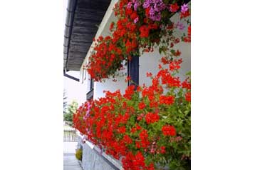 Privatan smeštaj Smižany 10